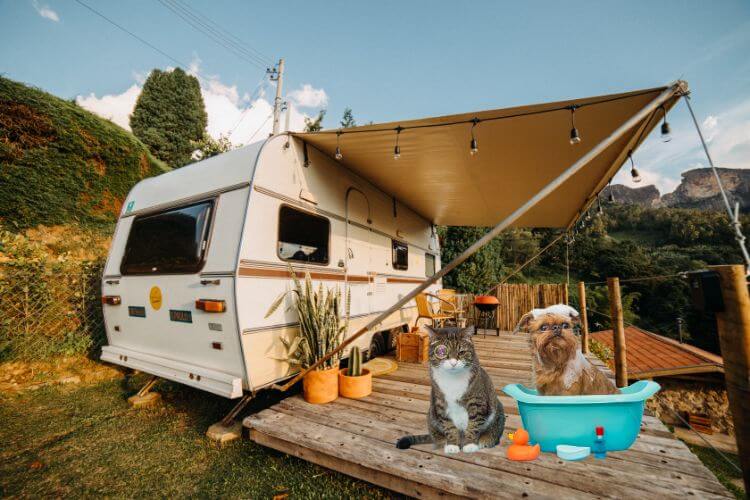 How to Make Your Static Caravan Pet-friendly