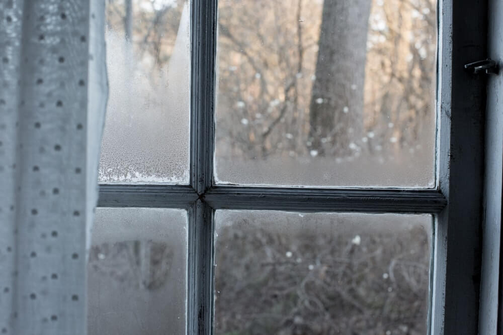 Is Condensation The Same As Damp?