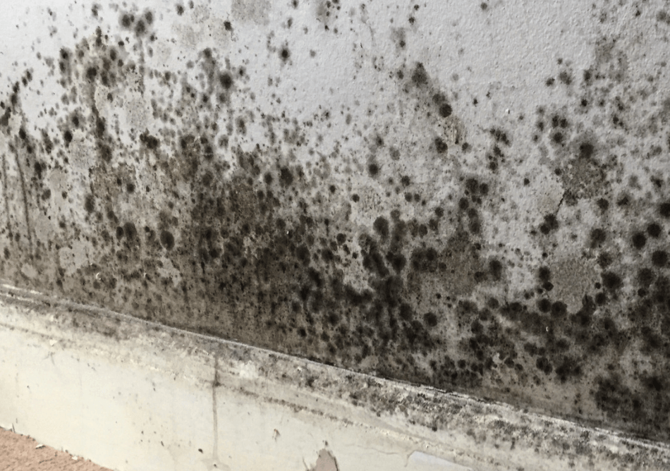 In A Caravan, How Much Damp Is Acceptable?